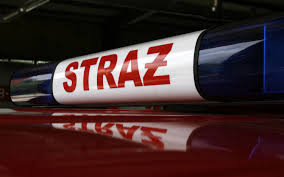 Obrazy: koguty2_stra.jpeg