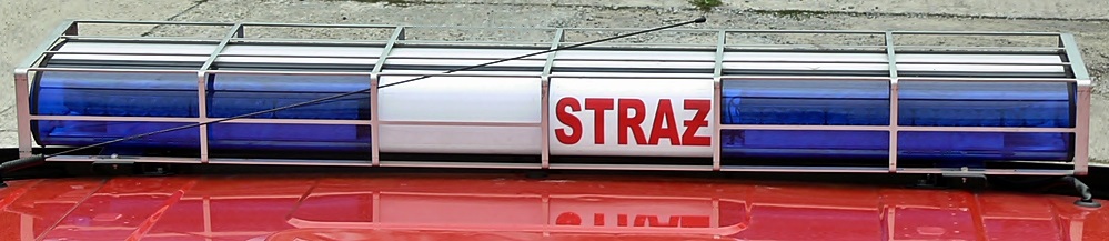 Obrazy news&oacute;w: belka_4.jpg