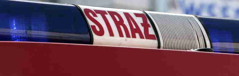 Obrazy news&oacute;w: koguty_stra.jpg