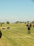 dsc08936_t1.jpg
